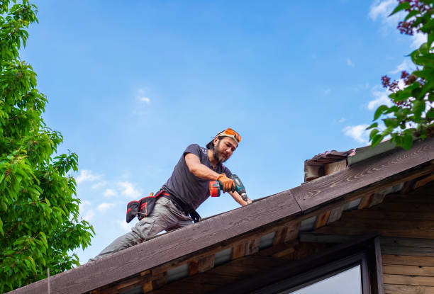 Reliable Eustis, FL Roofing service Solutions